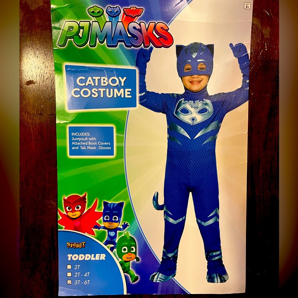 Spirit Catboy Superhero Costume - Blue